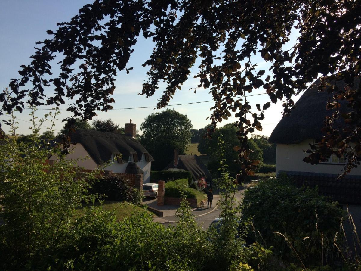 Guest Suite At 31 Little England Milborne Saint Andrew Exterior photo